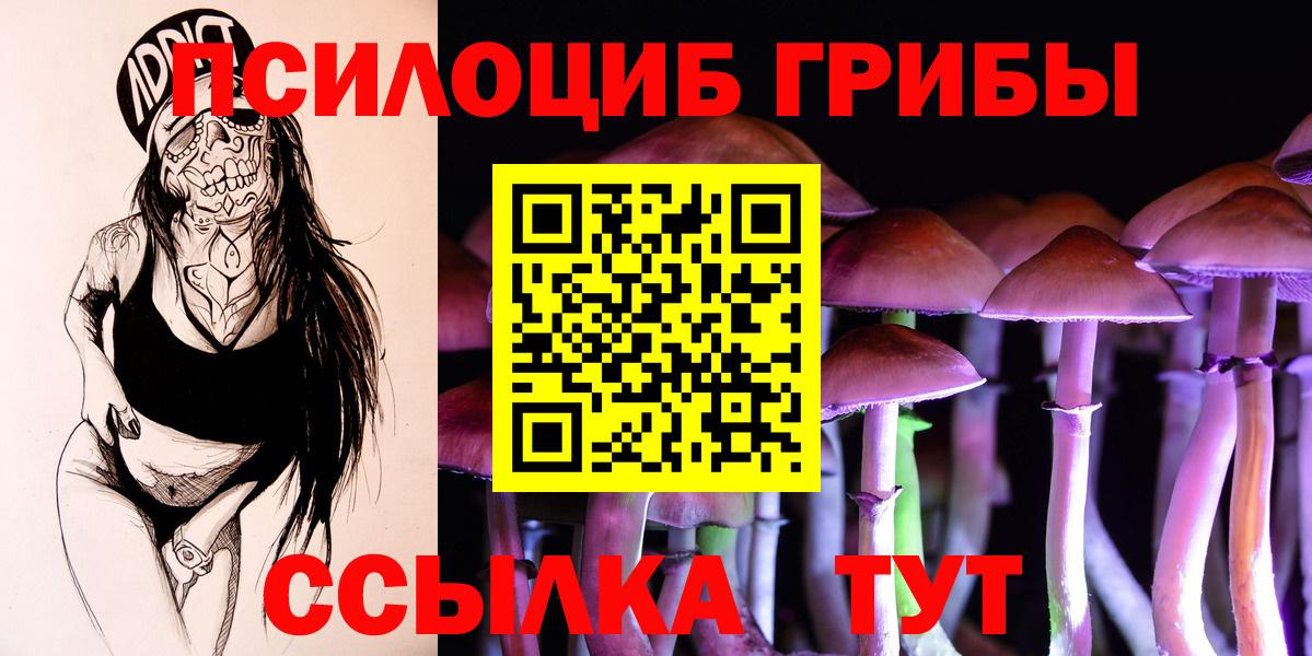 Партизанск  Псилоцибиновые грибы Psilocybine cubensis  Вход с VPN 